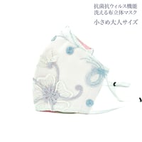 【小さめ大人サイズ】抗菌抗ウィルス機能洗える布立体マスク　アルテアロゼア
