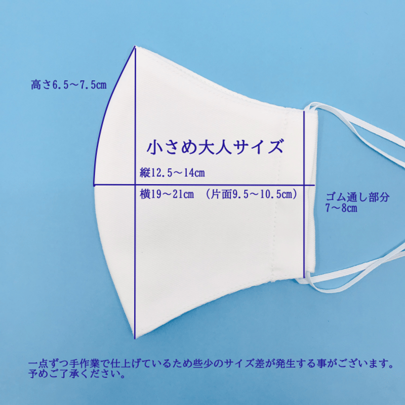 小さめ大人サイズ】抗菌抗ウィルス機能洗える布立体マスク 黒＆クロム