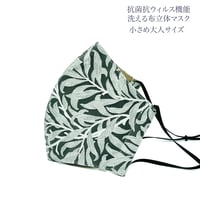 【小さめ大人サイズ】涼感コットン オーガンジー　抗菌抗ウィルス機能洗える布立体マスク　ホワイトリーフ クロムグリーン