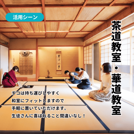 ストッパー付き「スタンバーチコ」 立ち上がり補助手すり【日本製】