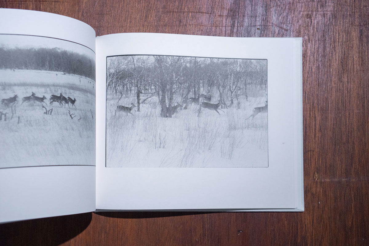 鹿渡り SHIKAWATARI｜白石ちえこ Chieko Shiraishi | ソラリス・オ