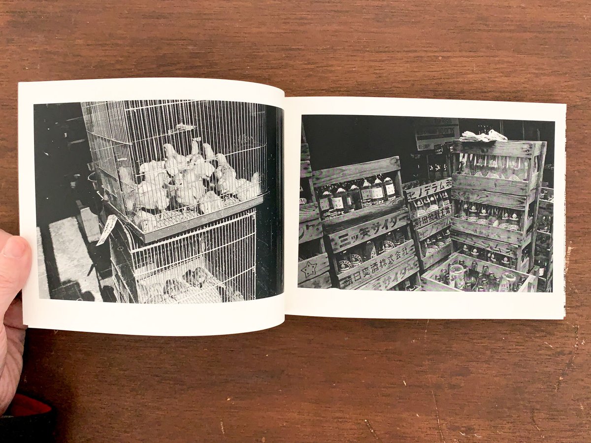 NOGATA [2nd edition]｜尾仲浩二 Koji Onaka | ソラリス・オンラ