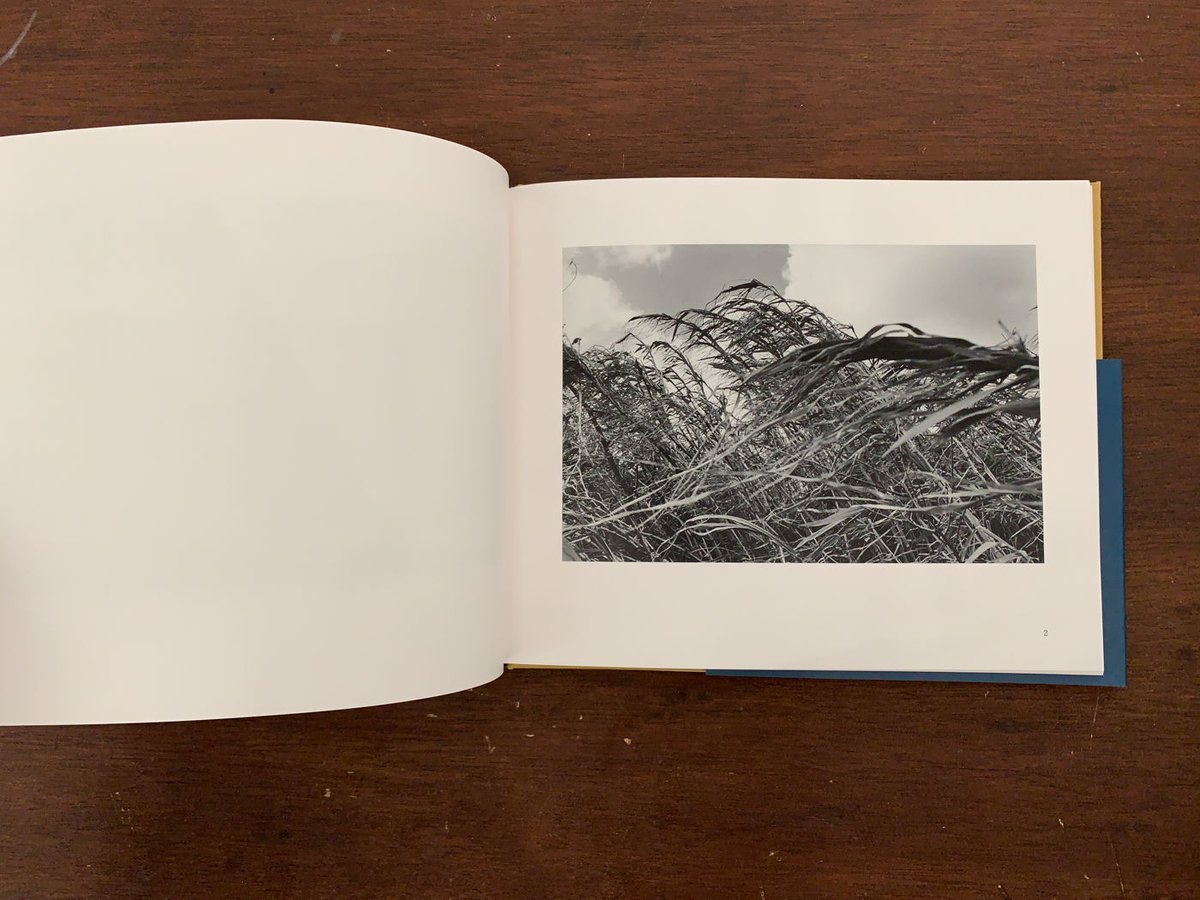 尾仲浩二/ Koji Onaka：背高あわだち草　サイン本　未開封　2015年 背高あわだち草 復刻版｜尾仲浩二 Koji Onaka | ソラリス