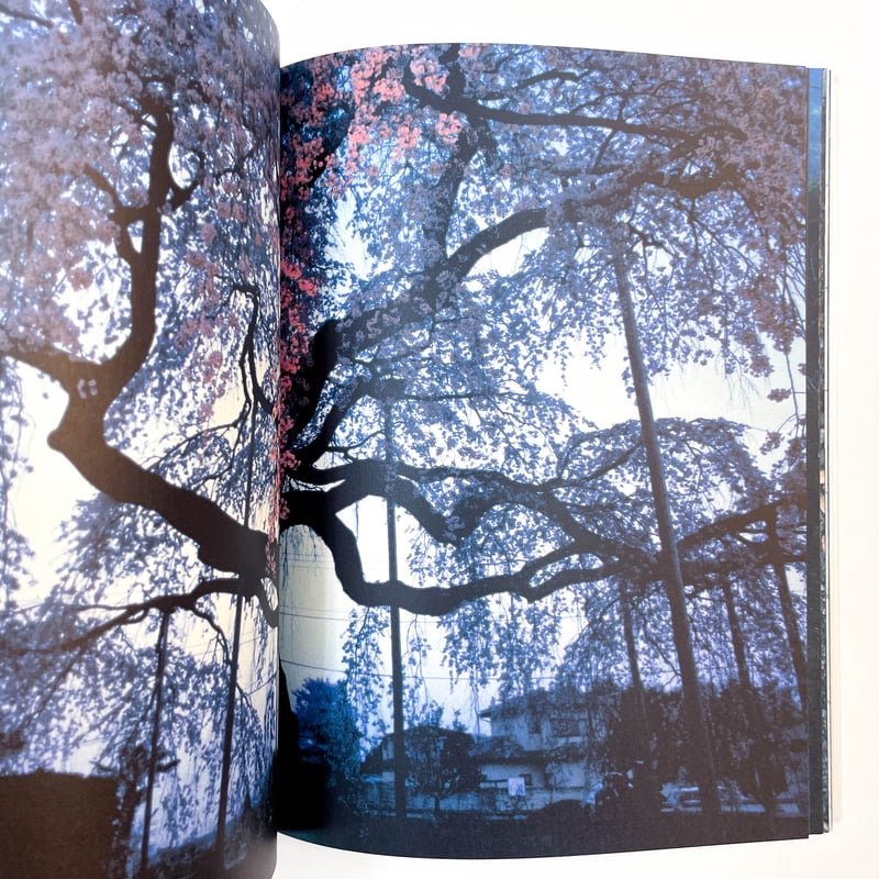 デジタルアート作品集 そらがたり 発掘 MEMORIES memory holesー記憶の穴｜菊地一郎 Ichiro Kikuchi | ソラリス