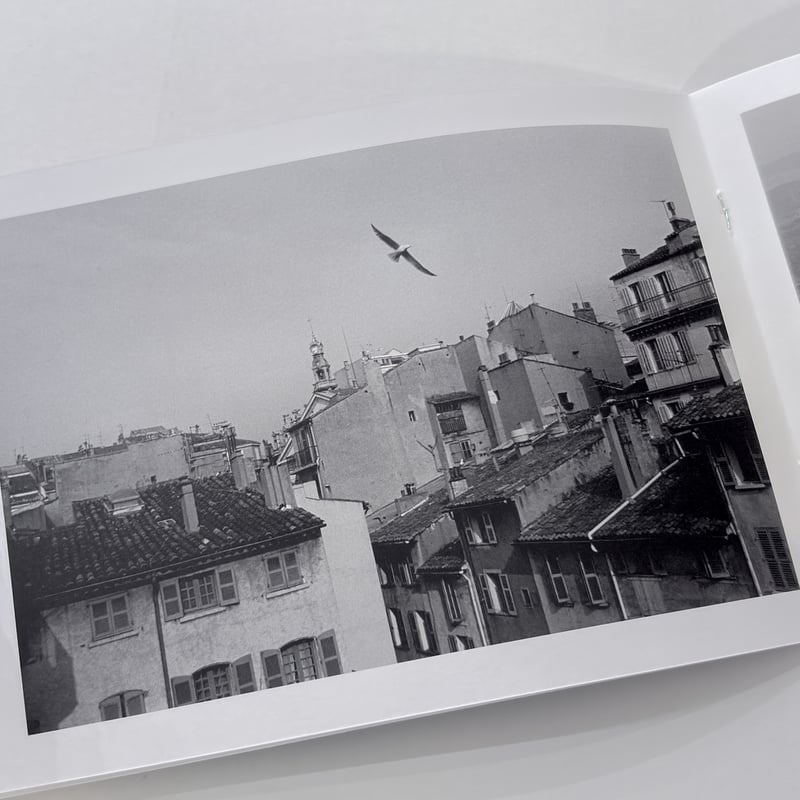 Another The Dog in France｜尾仲浩二 Koji Onaka | ソラリ