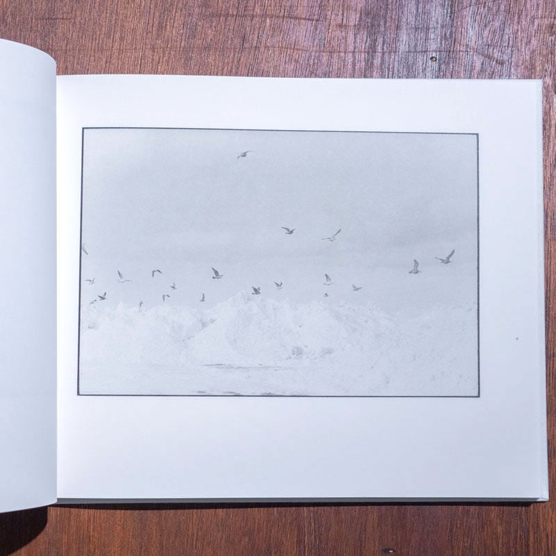 鹿渡り SHIKAWATARI｜白石ちえこ Chieko Shiraishi | ソラリス・オ