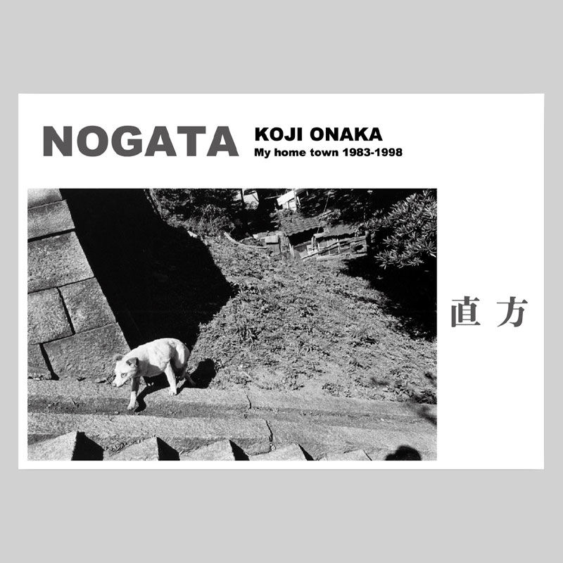 NOGATA [2nd edition]｜尾仲浩二 Koji Onaka | ソラリス・オンラ