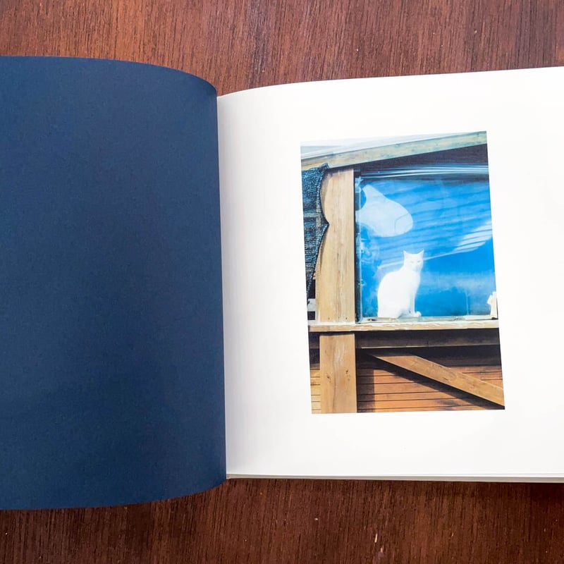 熊谷聖司　写真家　ポスター　菊全判 熊谷聖司 写真家 ポスター 菊全判 熊谷聖司 櫻木綾子 二人展「新しい街