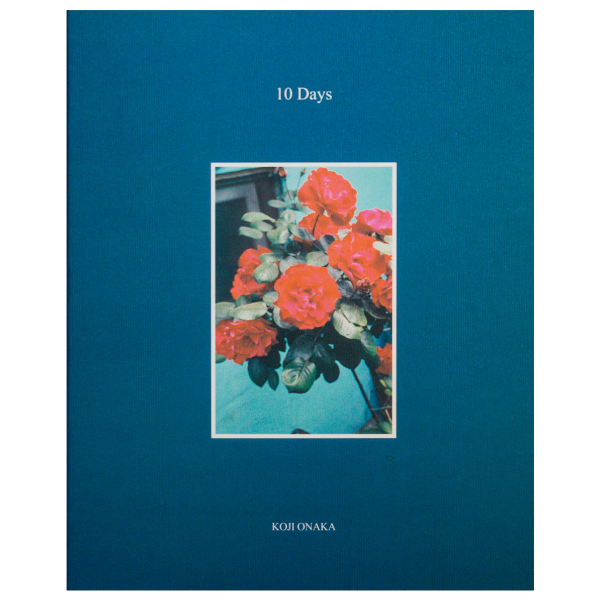 【hysteric Five：Onaka Koji】尾仲浩二　新品未読品 HYSTERIC FIVE by Koji Onaka – twelvebooks