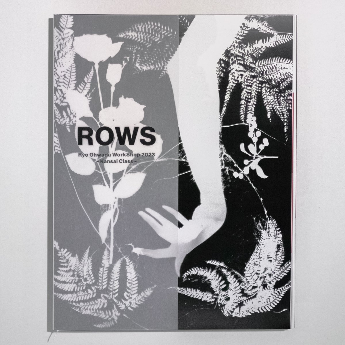 reonyan様オーダーページ RIIZEサイン入り色紙プレゼントキャンペーン｜M:ZINE｜テレビ朝日