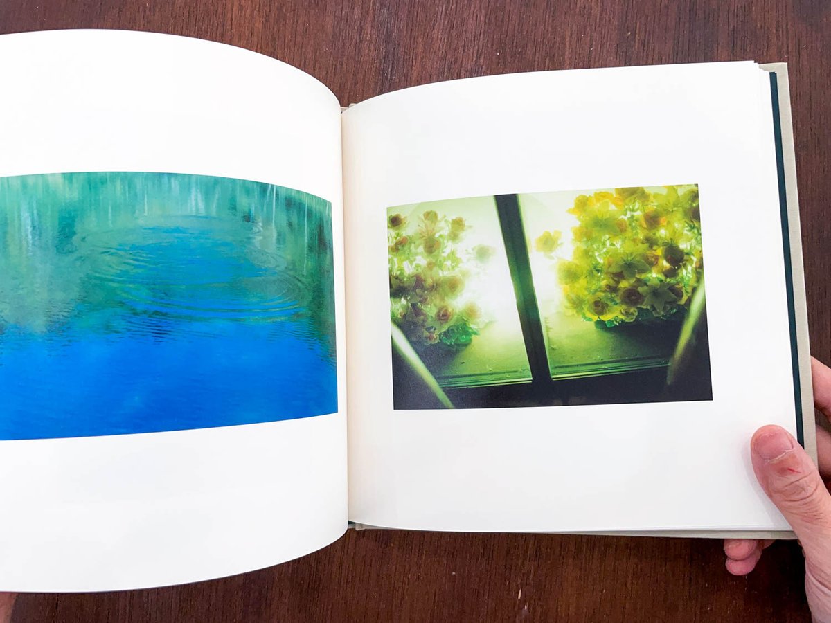 マルクマ本店/bookshop-marukuma 熊谷聖司 写真家 ポスター 菊全判