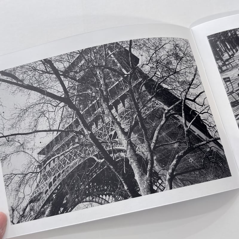 Another The Dog in France｜尾仲浩二 Koji Onaka | ソラリ