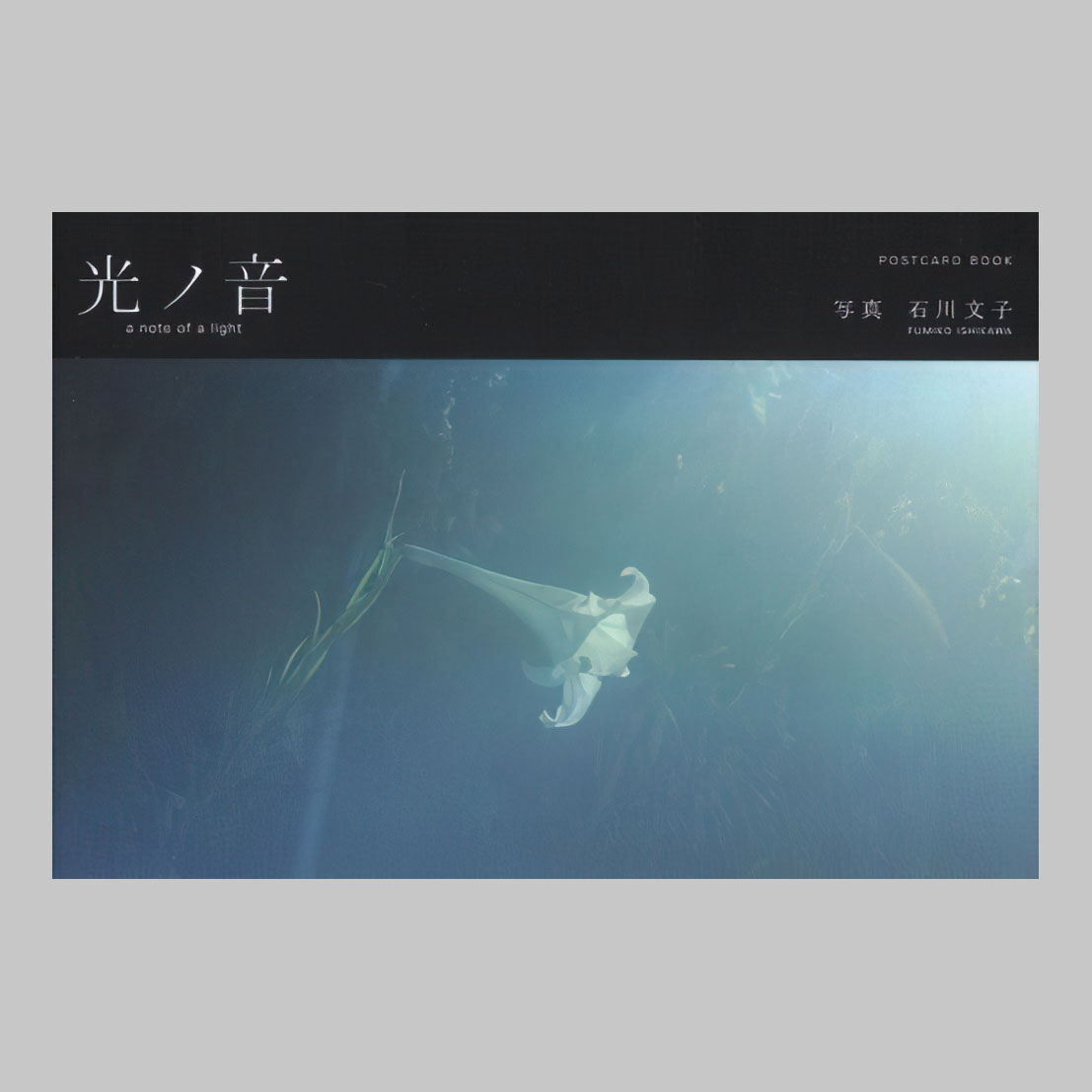 B品】ポストカードブック写真集「光ノ音」 a note of a light