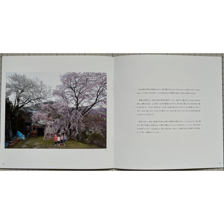 山下豊「サクラカラー 」