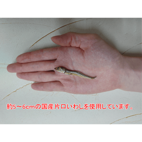 にぼしプラセンタ