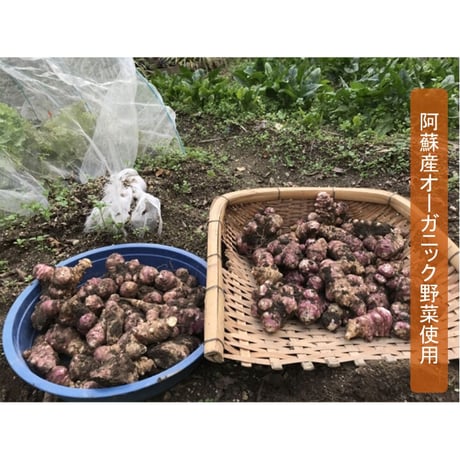 ぷらんきー　菊芋