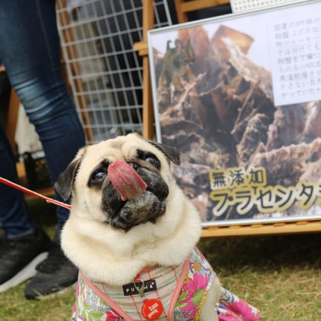 ありのままぷらせんた　ふりかけセット