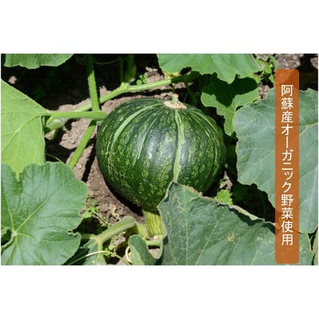 ぷらんきー　かぼちゃ