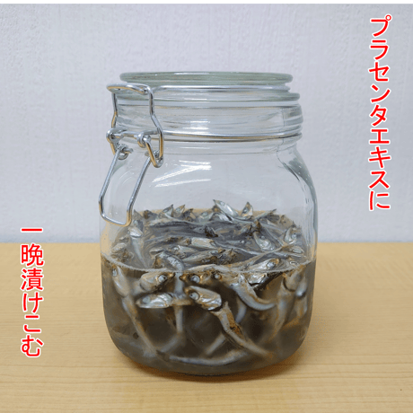 にぼしプラセンタ