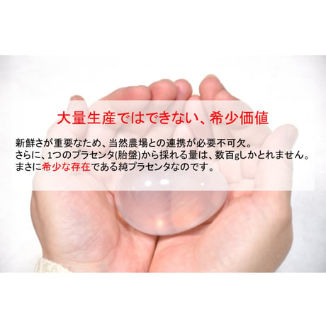 ありのままぷらせんたじゃーきー　7個入り