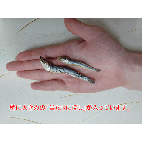 にぼしプラセンタ