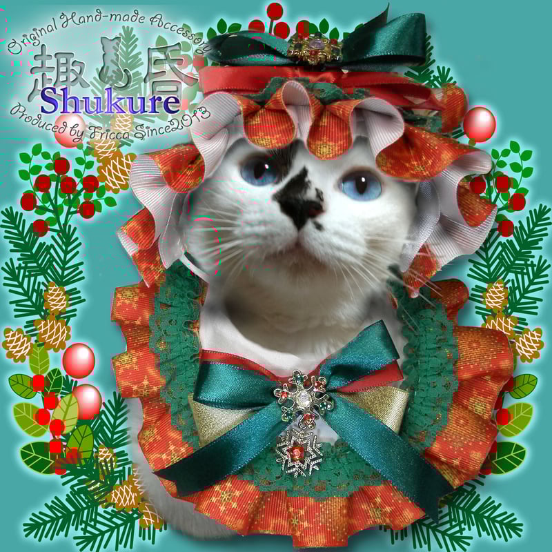 RR　2枚セット世界一美しい猫 　ナスタチューム＆ クリスマローズ 予約販売：11月以内 お届け予定】次元界TOY(WAN LE XUN CHAO