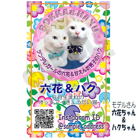 Instagram限定・うちの猫写真入り名刺作成のトッピングプラン・ダブルトッピング