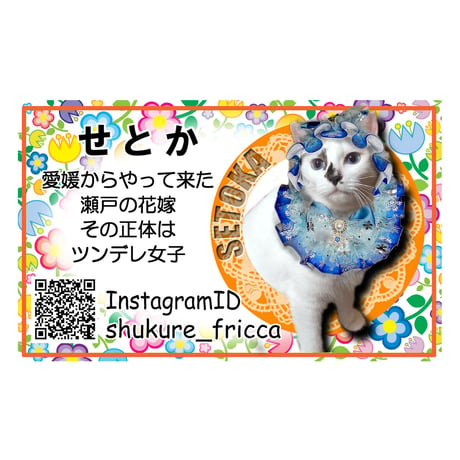 Instagram限定・うちの猫名刺プリント50枚
