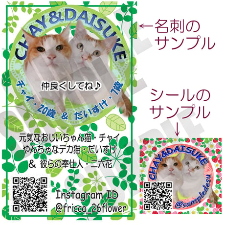 Instagram限定・うちの猫写真入り名刺100枚＆シール60枚作成パッケージプラン