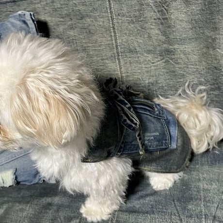 【ポストイン配達】DENIM DOG APRON 【HillMeJEAN+ﾘﾒｲｸ】デニムドッグエプロン[500H0358]