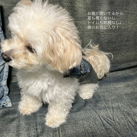 【ポストイン配達】DENIM DOG APRON 【HillMeJEAN+ﾘﾒｲｸ】デニムドッグエプロン[500H0358]
