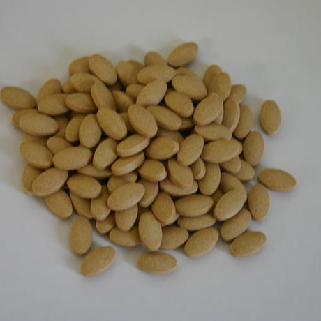 【年末ご愛顧感謝キャンペーン】田七・杜仲加工食品 養脳力（ようのうりき）30g（0.25g×120粒）