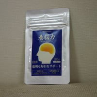 【年末ご愛顧感謝キャンペーン】田七・杜仲加工食品 養脳力（ようのうりき）30g（0.25g×120粒）