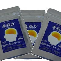 【ポイント倍増キャンペーン】【まとめて購入10%OFF】田七・杜仲加工食品 養脳力（ようのうりき）30g（0.25g×120粒）×3袋入り