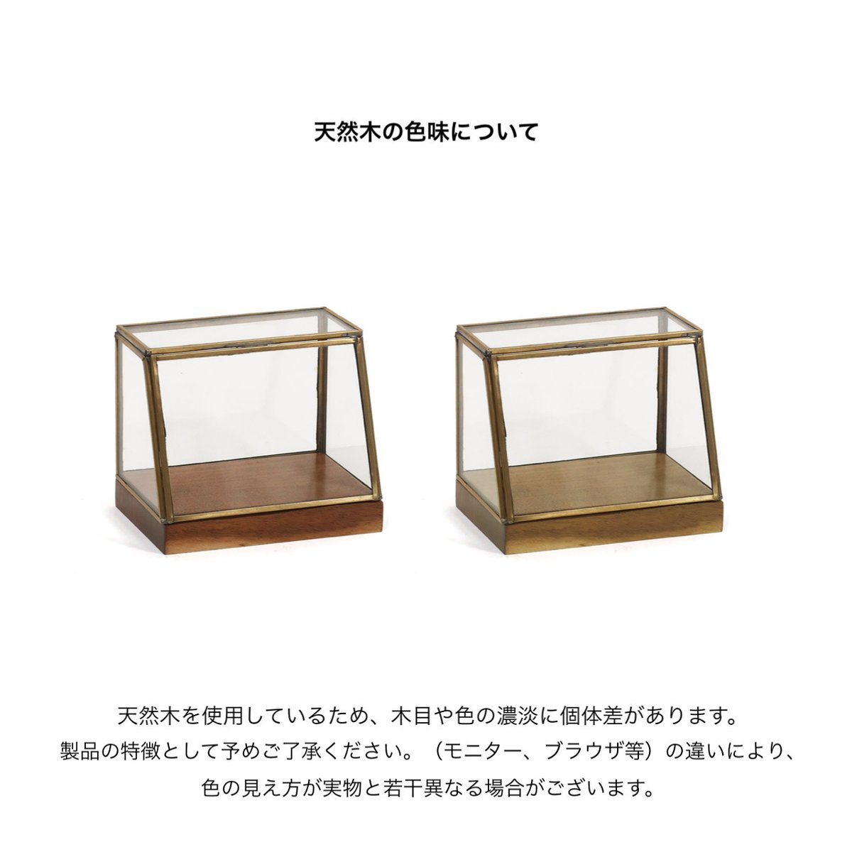 モスコケズル MOLDS VER. 真鍮ディスク　ウォールナット モスコケズル MOLDS VER. 真鍮ディスク ウォールナット - メルカリ