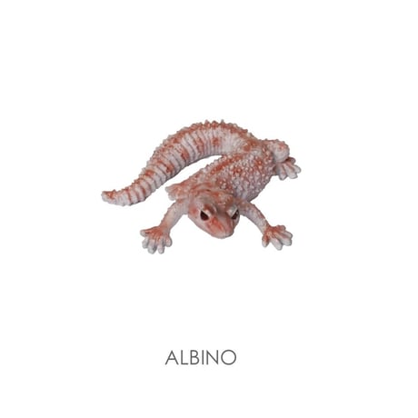 REPTILES MAG   LEOPARD GECKO BABY  ▷ リアルな生きもの造形マグネット ▷ ALBINO & SUPER HYPO TANGERINE ベイビー