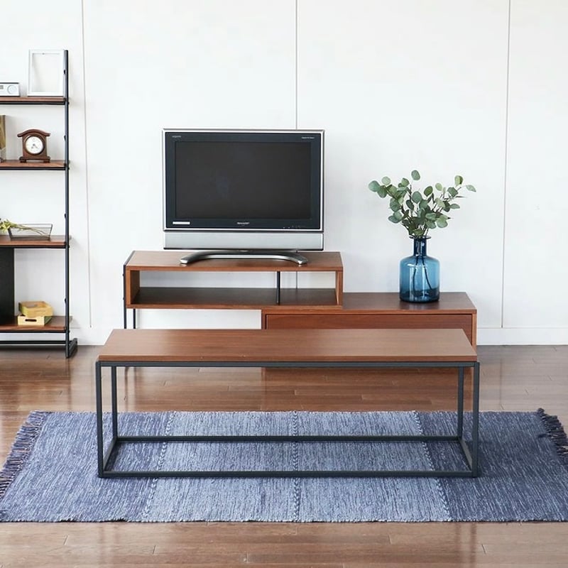 WALNUT × IRON Center Table / センターテーブル / リビング /
