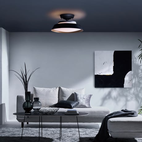 Graph LED-remote ceiling light  / シェード選択 / LED内蔵 / シーリング照明 / シーリングライト / AW-0649