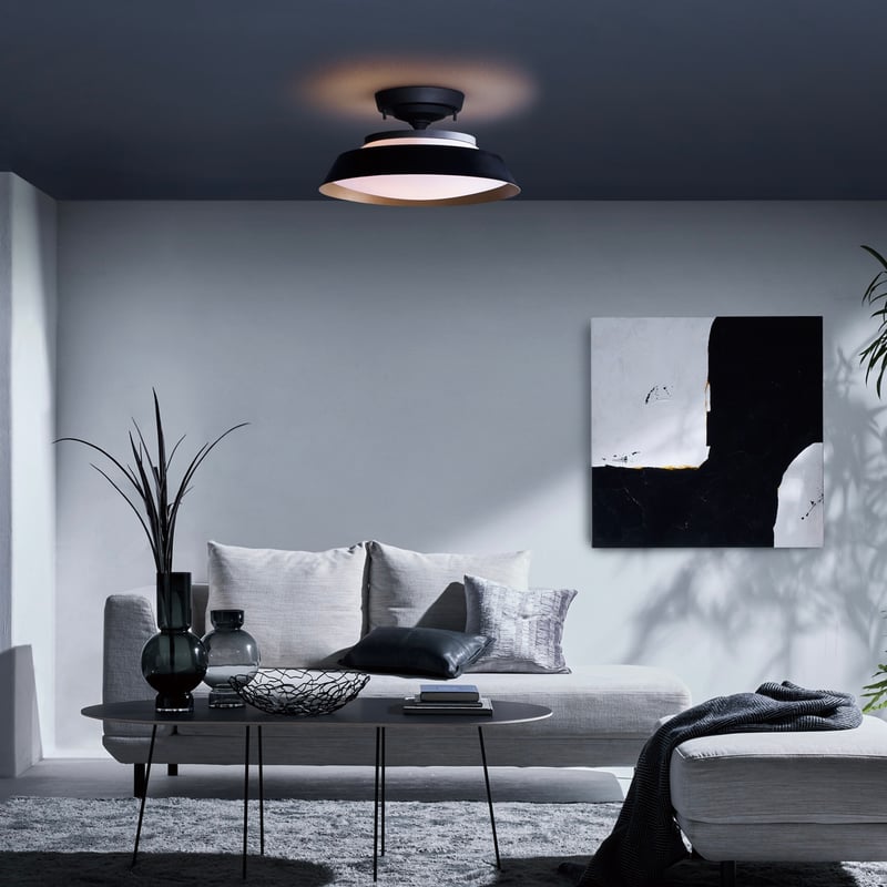 Graph LED-remote ceiling light / シェード選択 / LED内