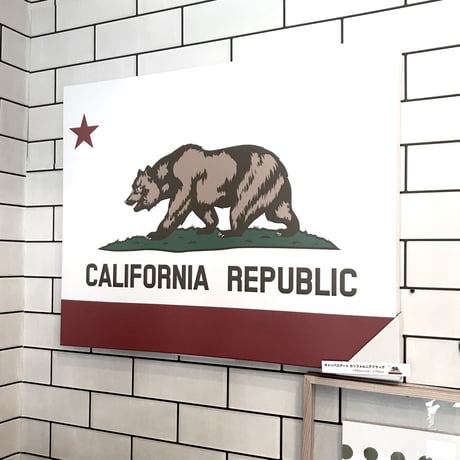 CANVAS ART FLAME / CALIFORNIA FLAG  キャンバスアート カリフォルニア フラッグ  サイズ ▶︎500x400x25mm
