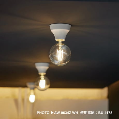 Adam-ceiling light /ARTWORKSTUDIO/シーリングライト / シーリングランプ  /  ダウンライト / E26 60W / 電球別売り LED対応 / AW-0634Z