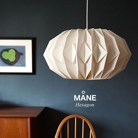 MANE PENDANT / ペンダントライト3灯  / ヘキサゴン  / 電球なし  LED電球専用ランプ