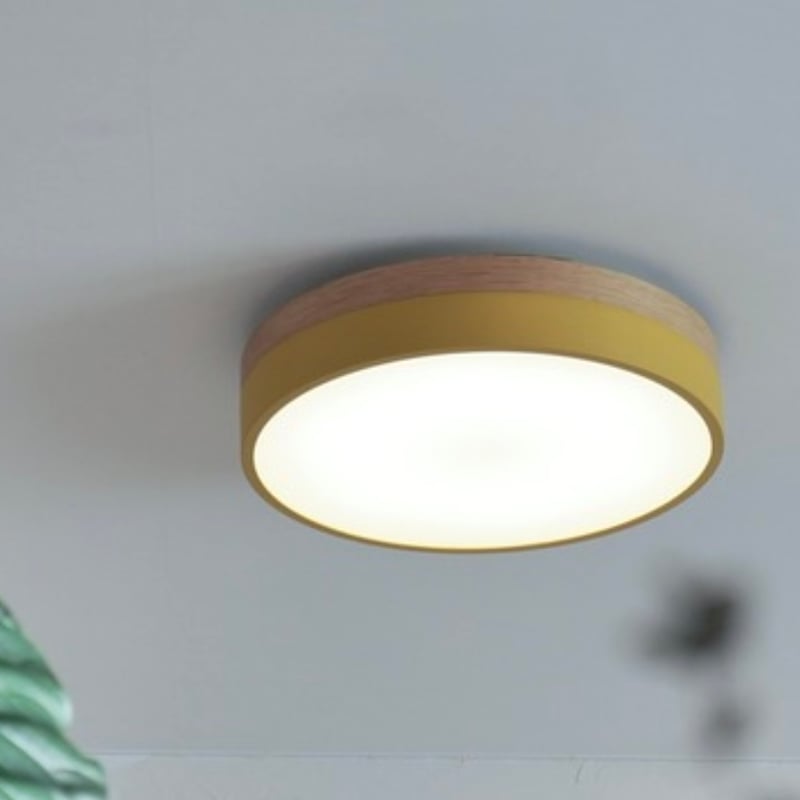 Olika LED CEILING LIGHT Ver.2 / BRID / シーリングライト