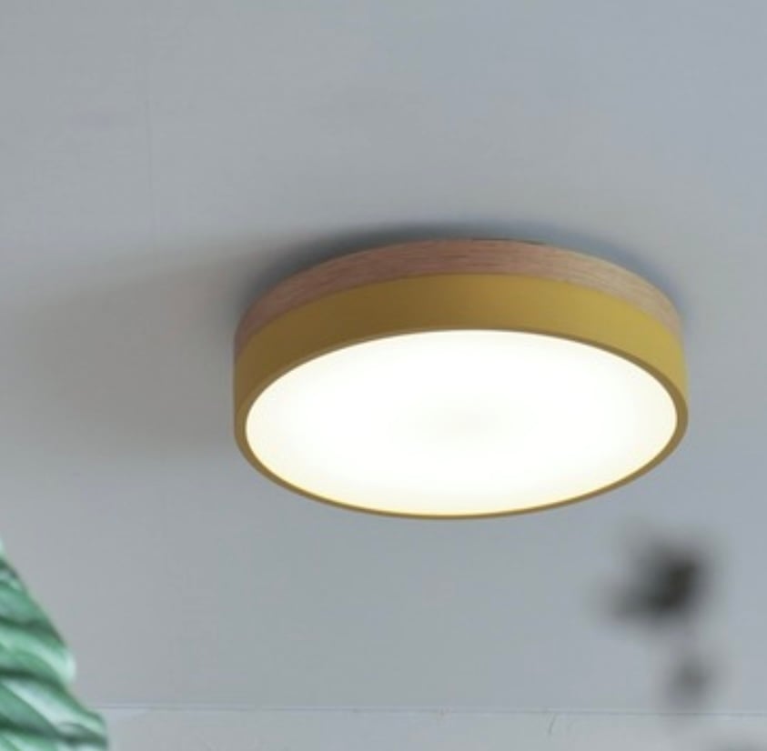 Olika LED CEILING LIGHT Ver.2 / BRID / シーリングライト