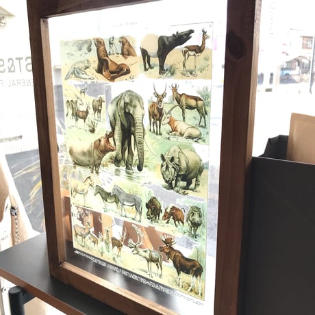NOSTALGIC ART FRAME ［ Animals  ］W35 x H45 x D1.7cm