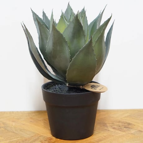 AGAVE INTERIOR artificial GREEN / リアルな質感と存在感のある大きさのフェイクグリーン / アガベ