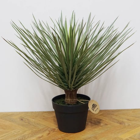 Yucca INTERIOR artificial GREEN / リアルな質感と存在感のある大きさのフェイクグリーン / ユッカ