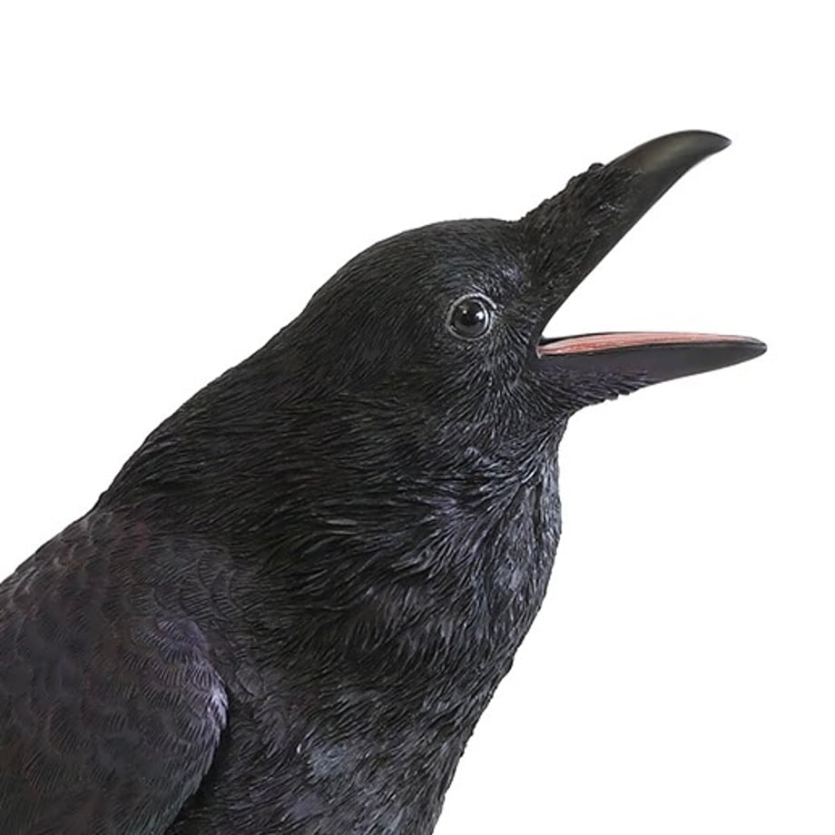 667a535d99e93c0031cf5ec9