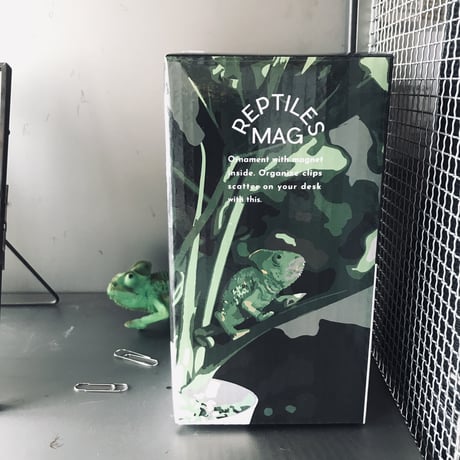 REPTILES MAG VEILED CHAMELEON BABY ▷ リアルな生きもの造形マグネット ▷エボシカメレオン ベイビー
