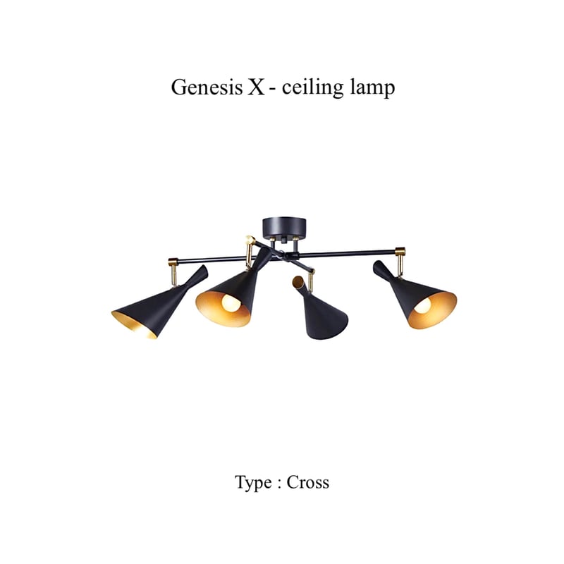 GenesisX-ceiling lamp / ジェネシスエックスシーリングランプ / シーリ